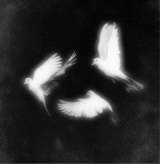 Guest_Pip891166