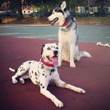 Guest_RoxyValentine1