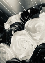 Guest_sanchezzzm99