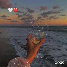 Guest_Emily907023