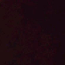 Guest_BabyEllie4