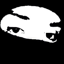 Guest_TUCRISTIANJJJ