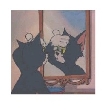 Guest_Trshadow24
