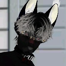 Guest_KjOfc