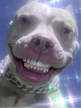 immagine avatar
