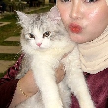 Guest_Nurul4