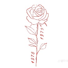 Guest_Mya880247