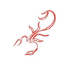 Guest_Wzxm1