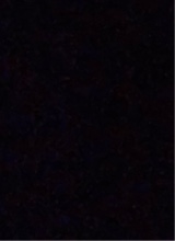 Guest_Aisa35