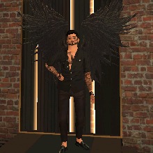 Guest_Armando594080