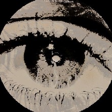 Guest_Mrsnobody