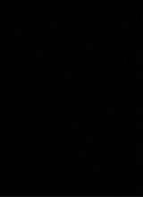 Guest_Aniyah223761