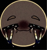 Guest_sunnymask
