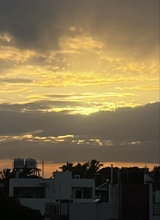 Guest_milanjalal1