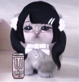 Guest_yumioi