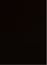 foto del avatar