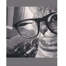 Guest_Liladc