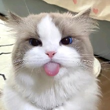 Guest_ixDeviL