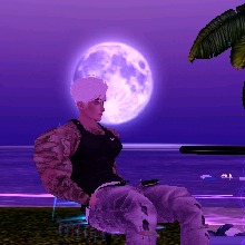 Guest_Apolo905668
