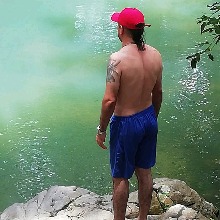 avpic