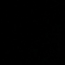 Guest_LisRaudez