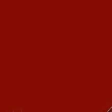Guest_Albina28