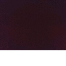 Guest_Mariah772481