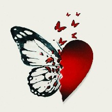 Guest_Nallely25