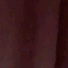 Guest_Gatinhasx77