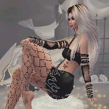 Guest_donterracotta6ec9