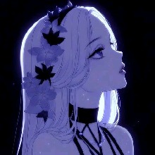 Guest_Musa2019
