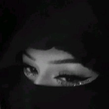 Guest_stefyy2