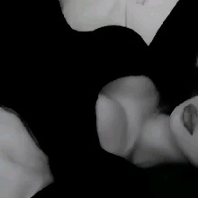 Guest_EmilyAG1