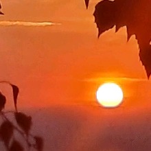 Mike884232