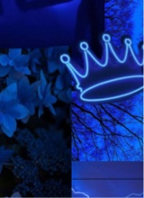 Guest_jaylen952950