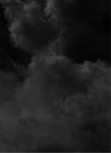 Guest_brainrot879