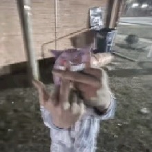 Guest_Kevin1212