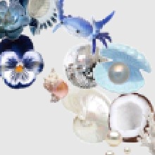 Guest_viceroylavenderr2c29