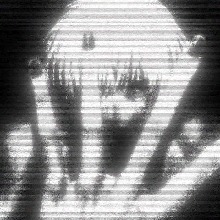 qxnp