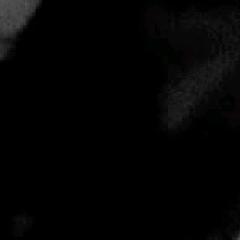 Guest_Reven18