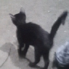 Guest_Spicequeen1