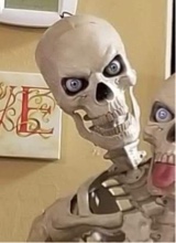 Guest_AnnoyinggRat