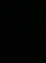 Guest_theus976955