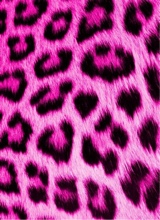 Guest_jade407391