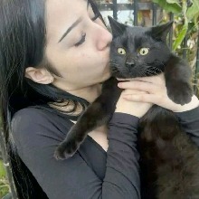 Avatar Bild