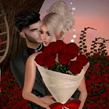 Guest_Linda314