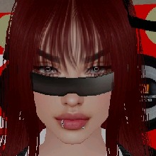 Guest_Any220659