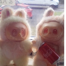 Guest_Bellamorgan1