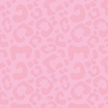 Guest_Priscilla518066