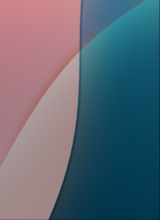 Unknown2202